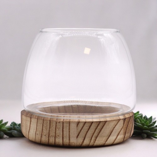 Glass dome cloche bell - cloche, jar