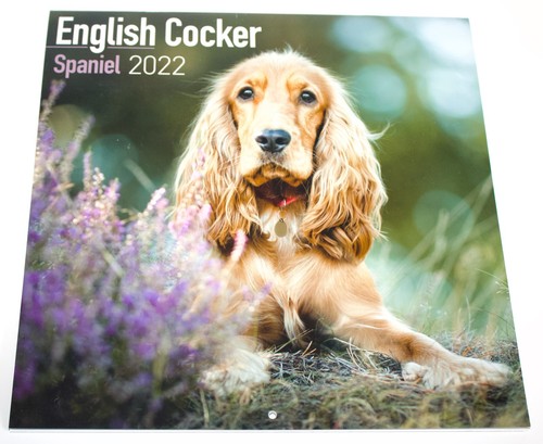 English cocker spaniel wall - cocker,