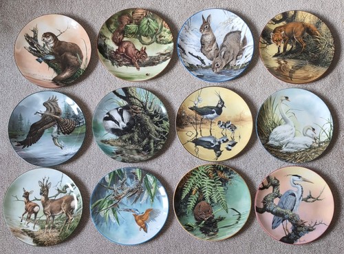 Wedgwood wall plates set x12 - wall,
