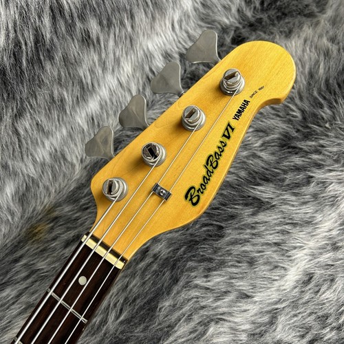 Electric bass guitar - bl,