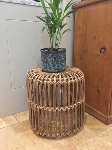 Vintage rattan cane - rattan,