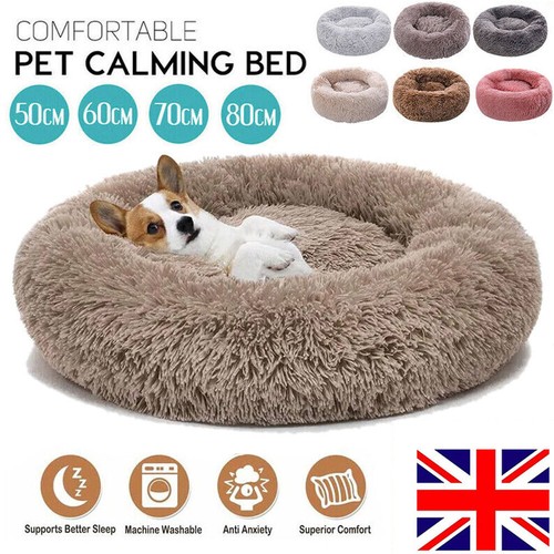 Extra large washable cat - extra,