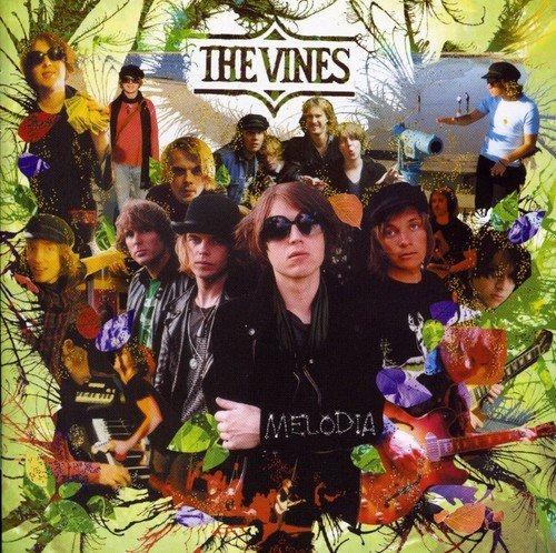 Melodica vines - melodica,