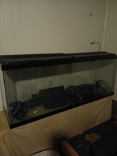 Glass Rectangle Aquarium Fish