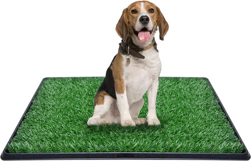 Dog toilet tray - dog, with