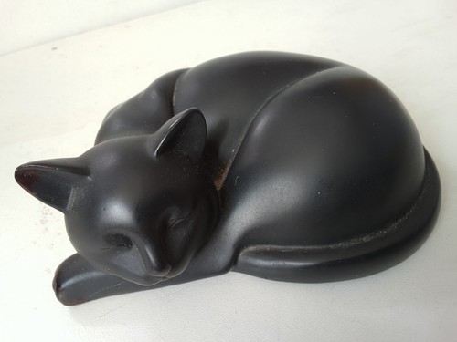 Black cat sleeping - cat,, sleeping,