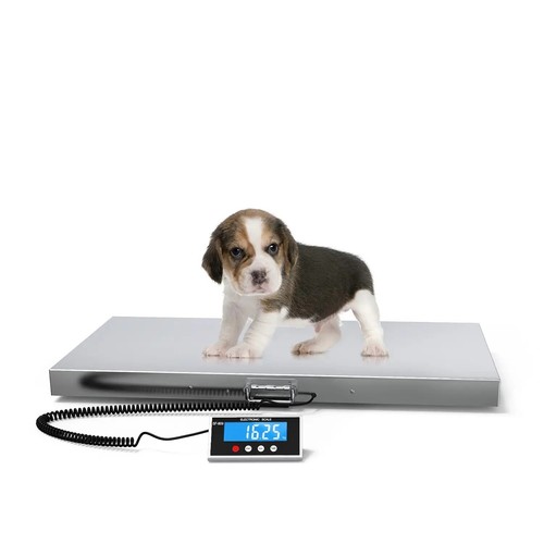 Heavy duty weighing platform - weighing,