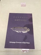 Asia Arowana Rainforest