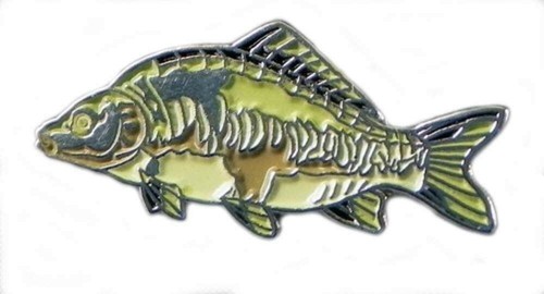 Mirror carp fish angling - carp,