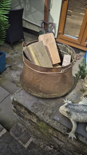 Copper cauldron bucket plant - cauldron,