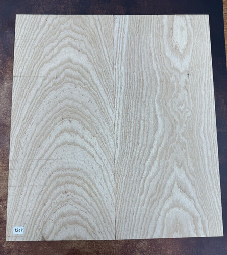 Swamp ash - swamp,