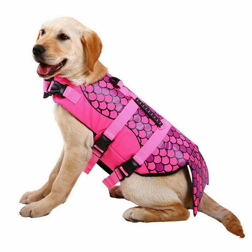 Dog life jacket pet safety - dog,