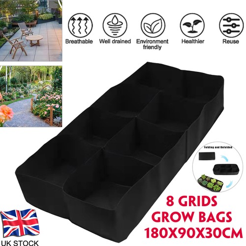 Grids black plant - 8,