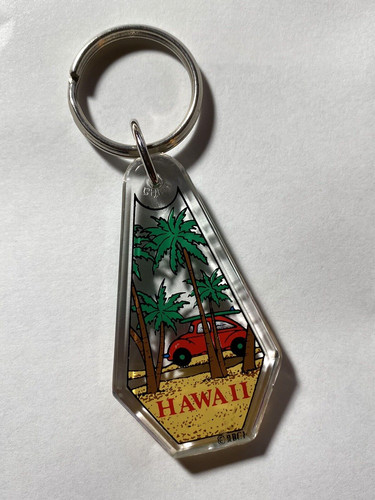 Hawaii key ring palm trees - hawaii,