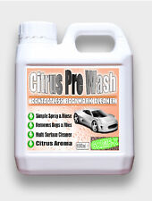 CITRUS PRE-WASH Car Cleaner 1