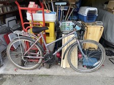 Lady/Girl Raleigh Monsoon