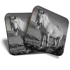 2 x Coasters (BW) - Highland