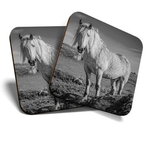 Coasters highland - -,