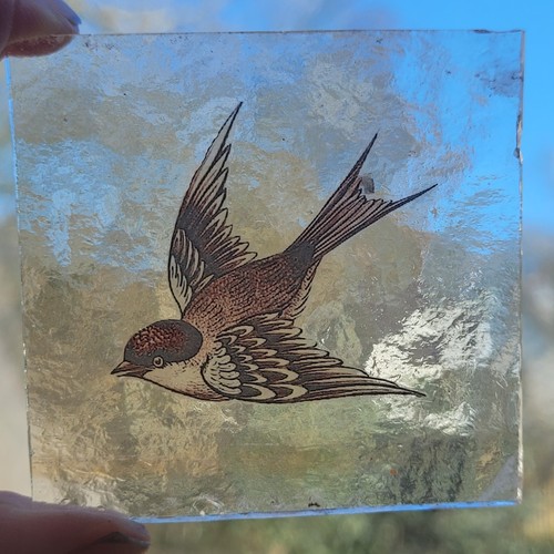 Stained glass swallow bird - stained,