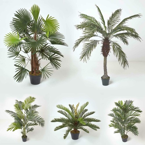 Artificial palm tree - artificial, plant