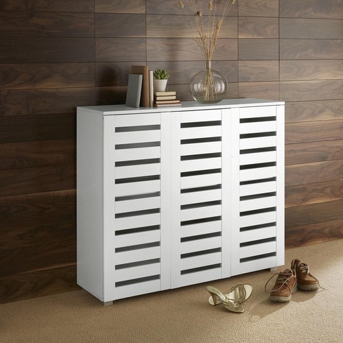 Door shoe storage cabinet - storage,