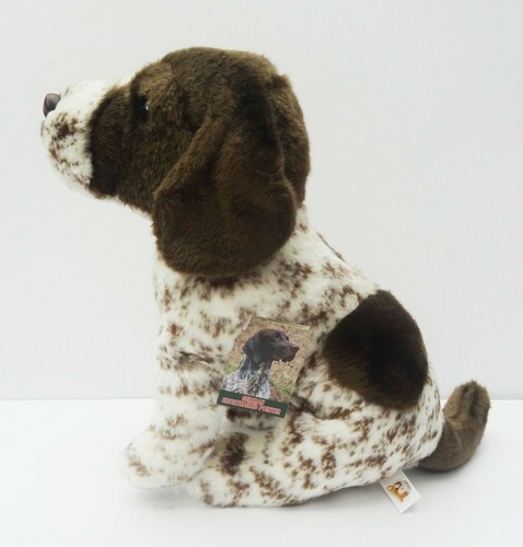 German short haired pointer - pointer, as