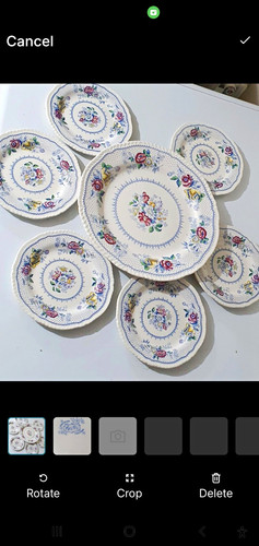 Ridgways floral ceramic plates - ridgways,
