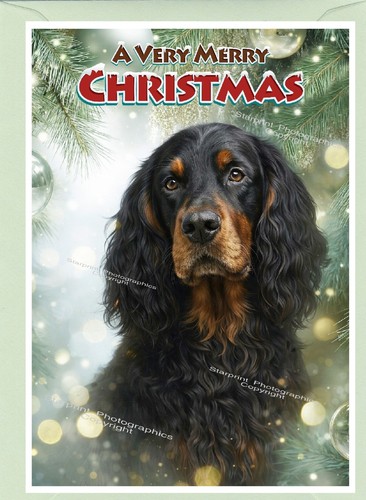 Gordon setter dog - setter,
