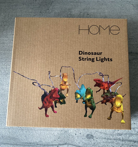 Dinosaur string lights 8 - string,