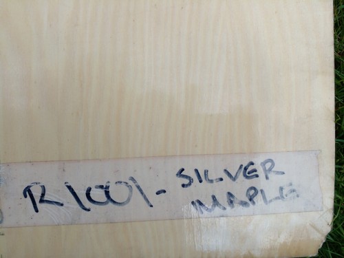 Real wood veneer - wood, maple
