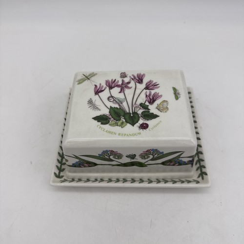 Euc portmeirion botanic - euc,