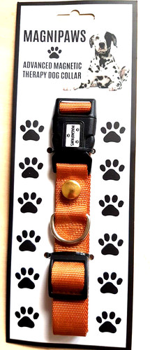 Dog collar with - collar,