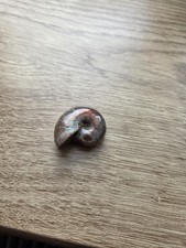 Genuine 3cm Iridescent