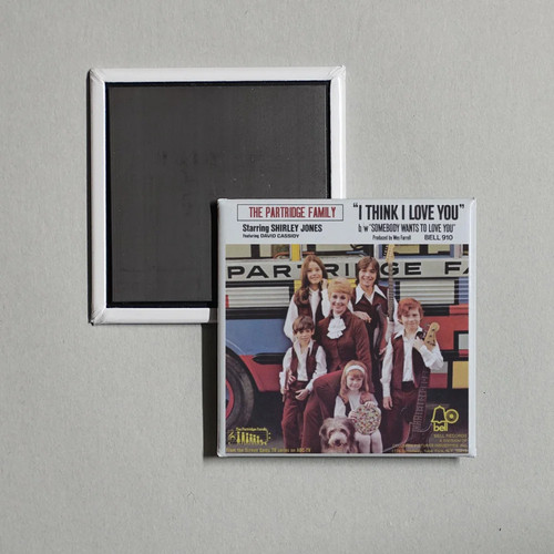 The partridge family i think - partridge,