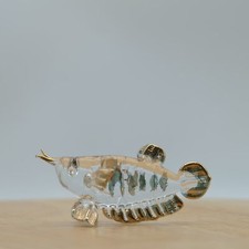 Arowana Asia Lucky Fish