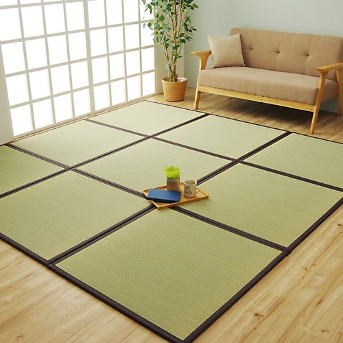 Ikehiko japanese rush grass - rush,