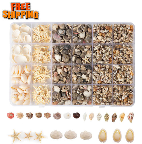 1300 pcs tiny - seashells, for