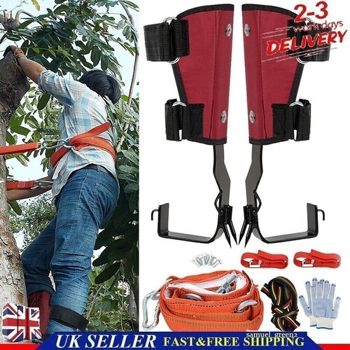 Gear tree climbing - tree, set