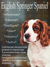 English Springer Spaniel Breed Chracteristics Retro style metal plaque gift