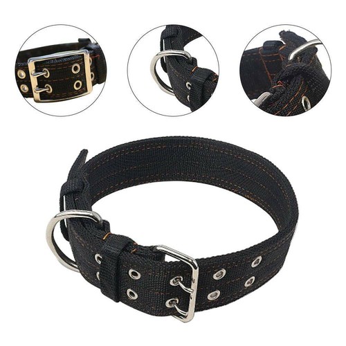 Large breed strong - large,