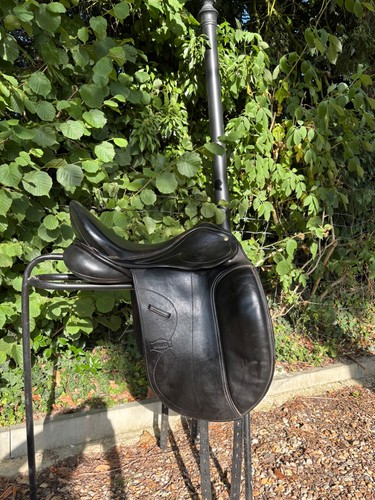 Black monarch dressage - monarch,