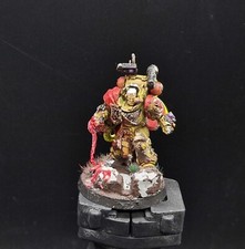 Painted Warhammer 40k imperial