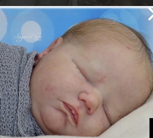 Reborn doll kit landon coa - doll, landon..