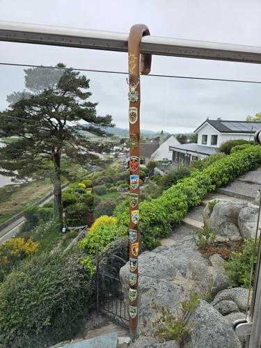Swagger stick with many badges - many,