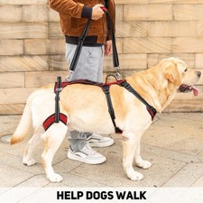 Mobility Dog Lift Harness
