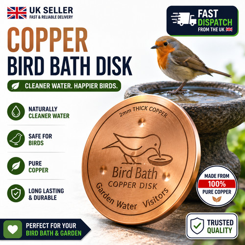 Copper bird bath purification - bath,