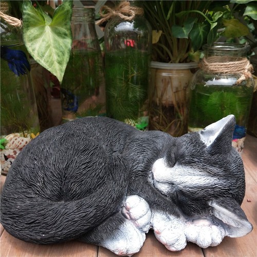 Garden ornament cat - garden,