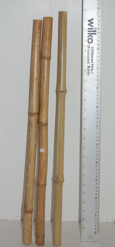 Bamboo poles reptiles craft - poles,,