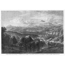Morning View in the Highlands of Braemar Highland Cattle - Antique Print 1868
