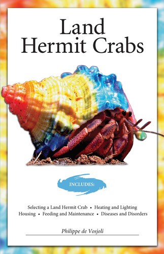 Land hermit crabs - hermit,